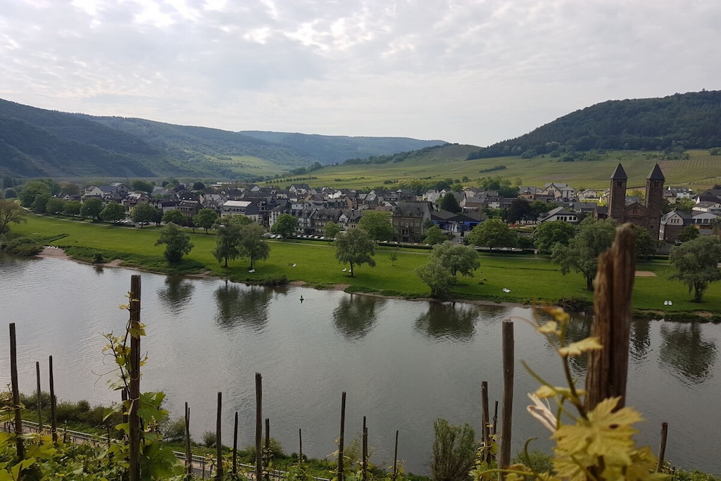 297272 - Nicht zugeordnet