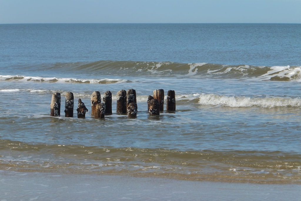 65495 - Niet-getagd