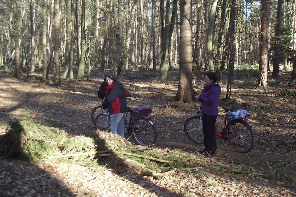 22347 - Niet-getagd