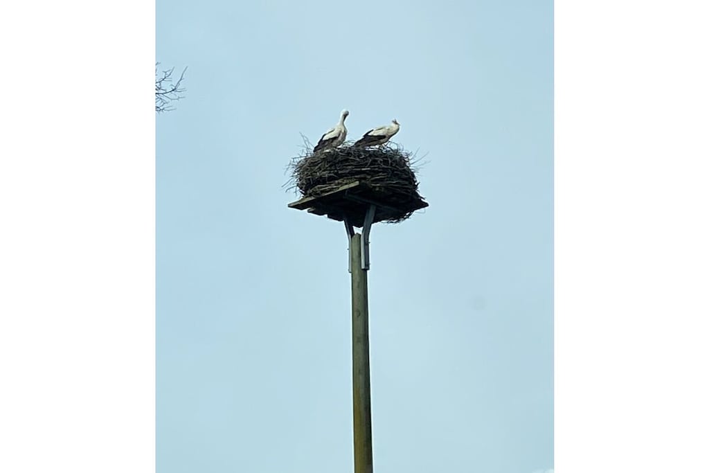395948 - Niet-getagd
