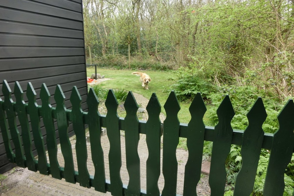 6098 - Niet-getagd