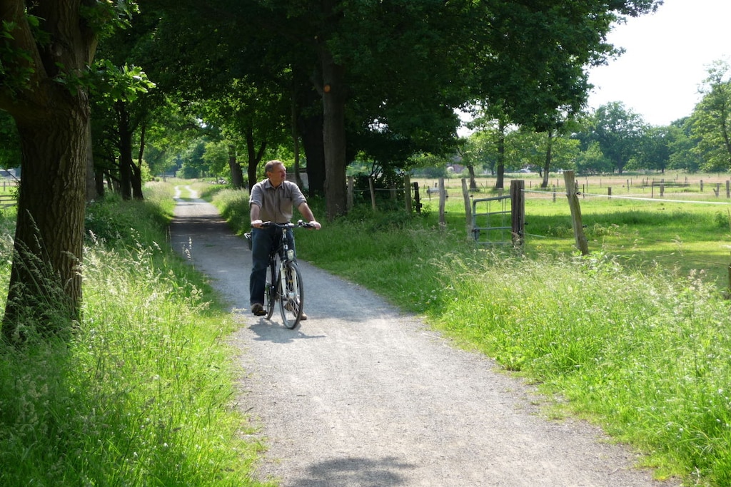 115181 - Niet-getagd