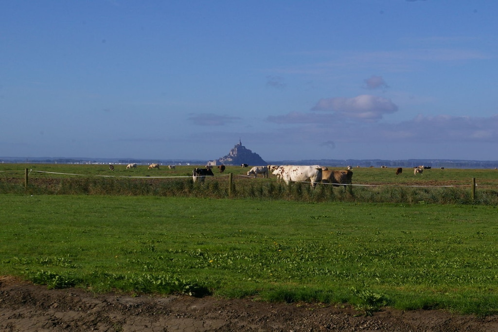 120658 - Niet-getagd