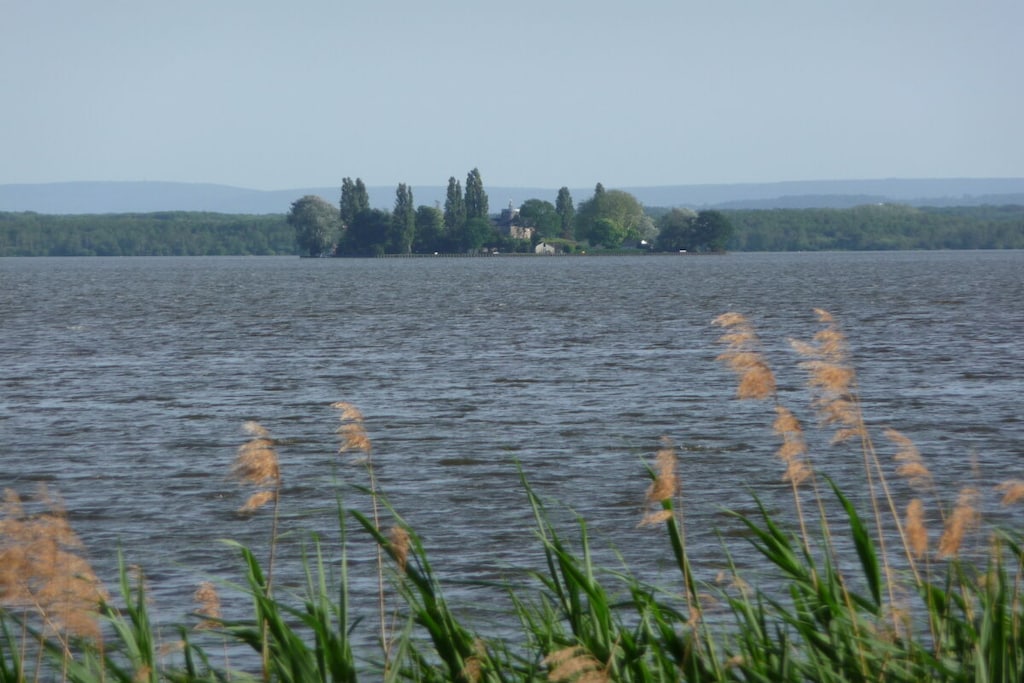 115853 - Niet-getagd