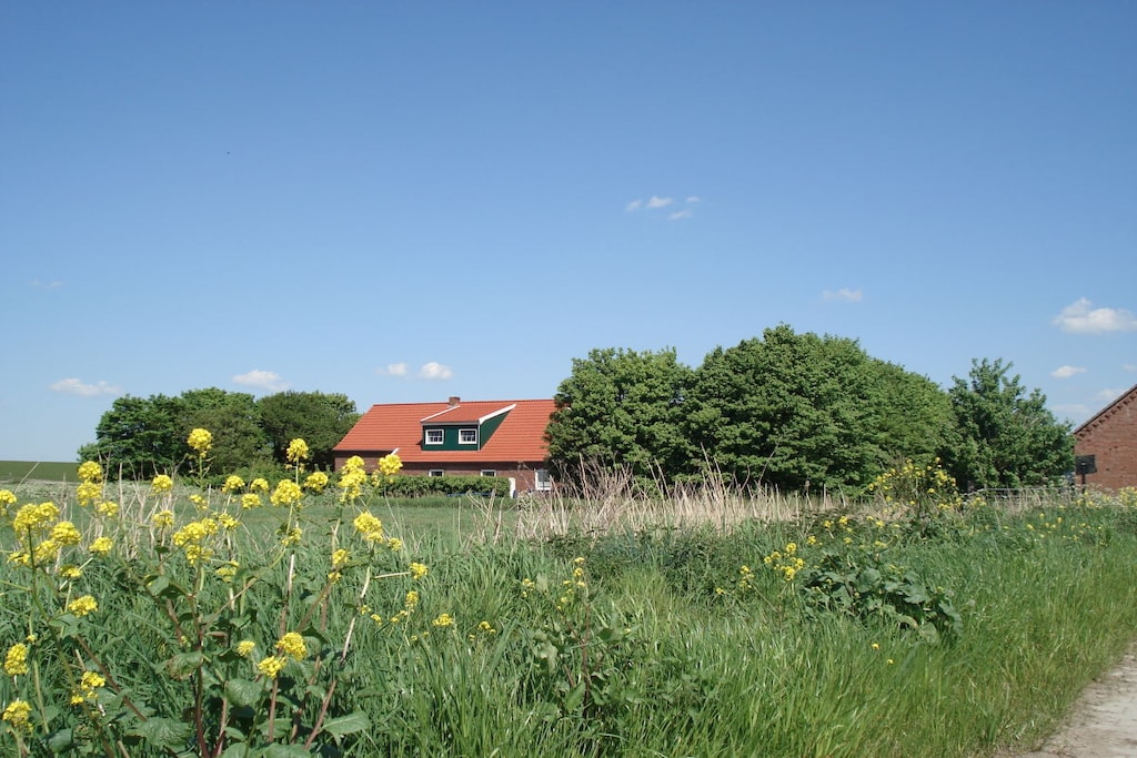 45257