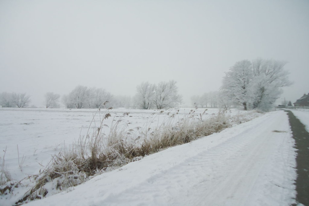 45257 - Niet-getagd