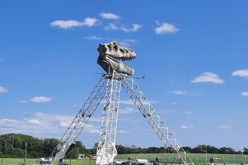 50890 - Non tagué