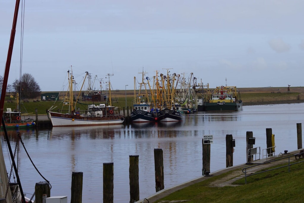 66871 - Niet-getagd