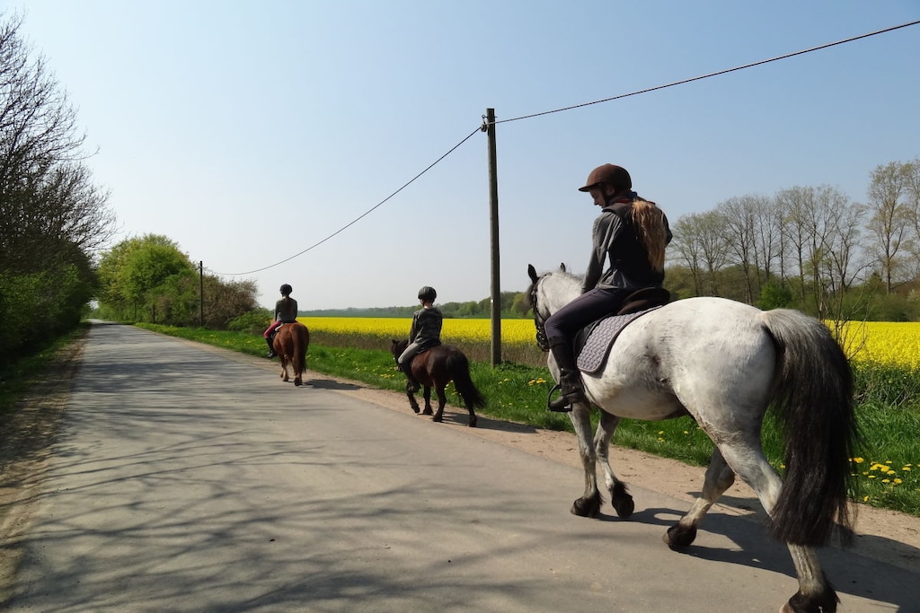 52958 - Niet-getagd