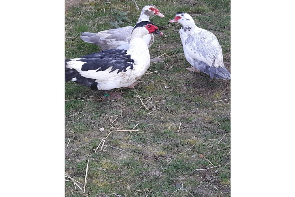 297555 - Niet-getagd