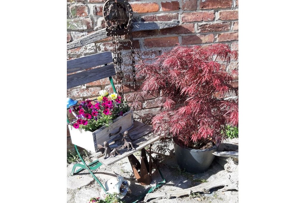 297555 - Niet-getagd