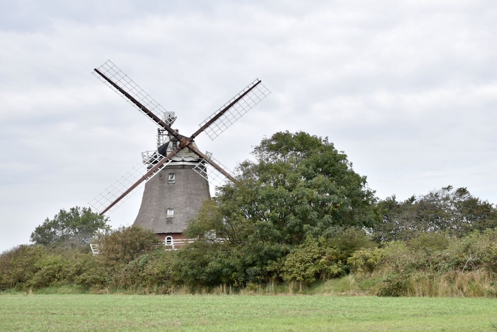67528 - Niet-getagd