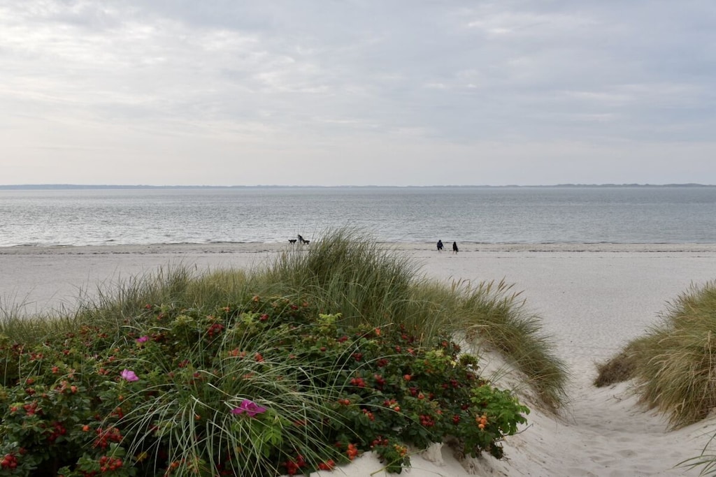 67528 - Niet-getagd