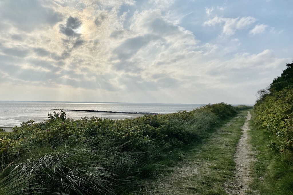 67528 - Niet-getagd