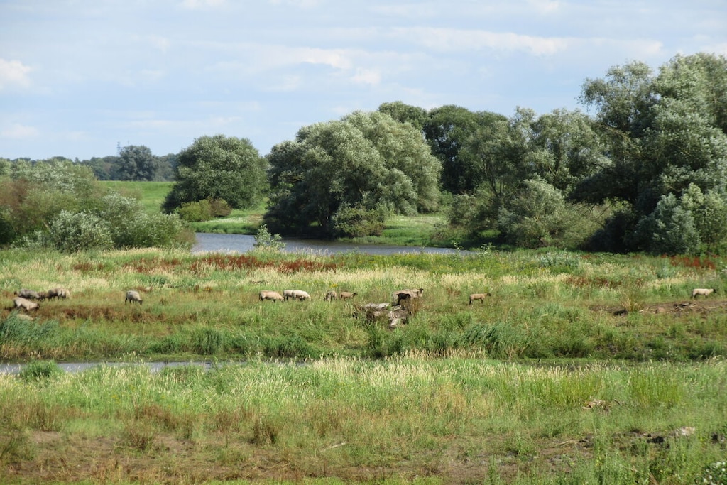 140745 - Niet-getagd
