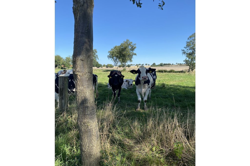 506184 - Niet-getagd