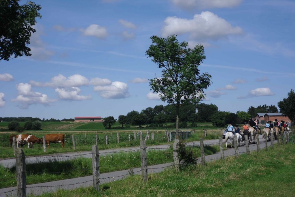 50645 - Niet-getagd