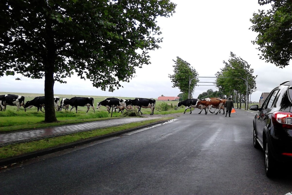 75770 - Niet-getagd