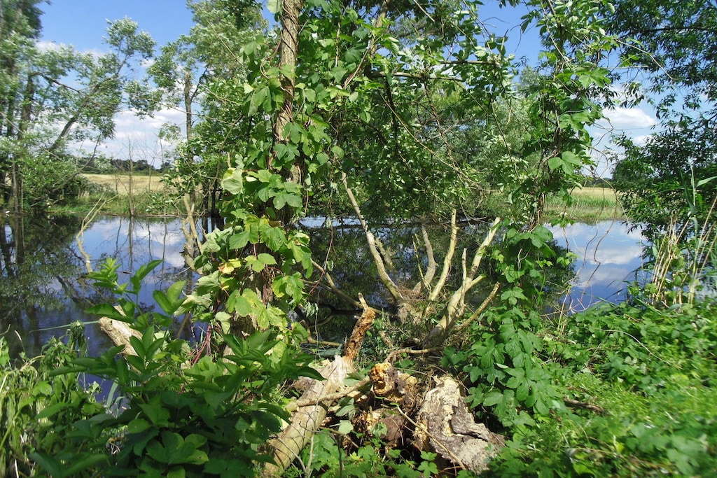 93271 - Niet-getagd