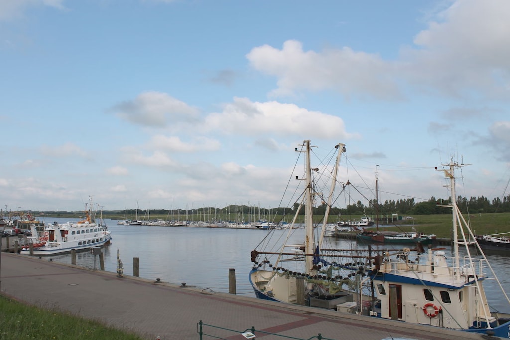 49226 - Niet-getagd