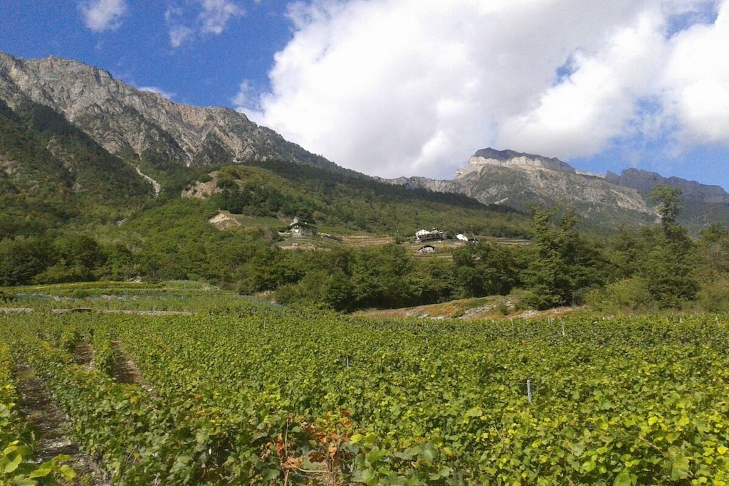 220104 - Non tagué