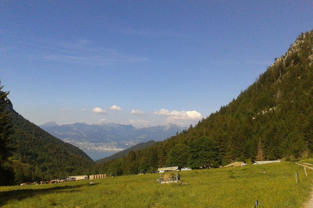 220104 - Non tagué