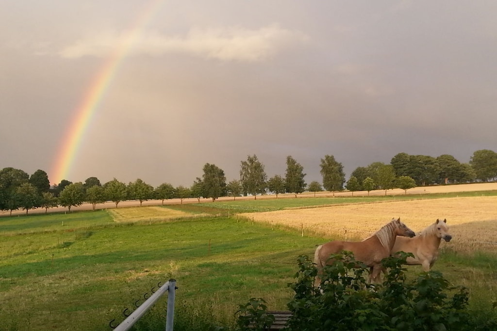 165867 - Niet-getagd