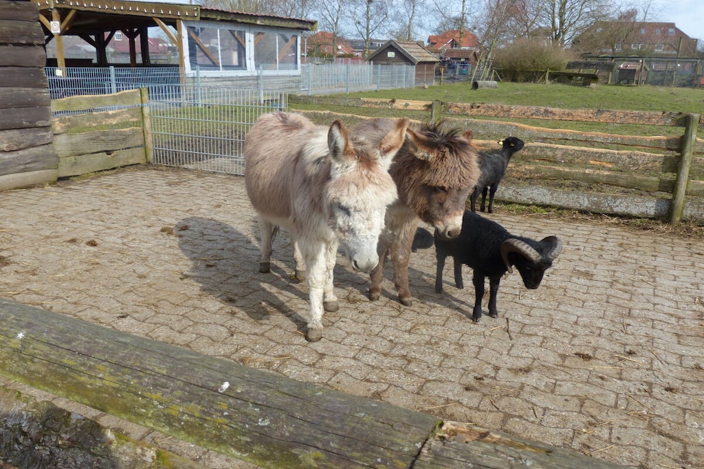 604124 - Niet-getagd