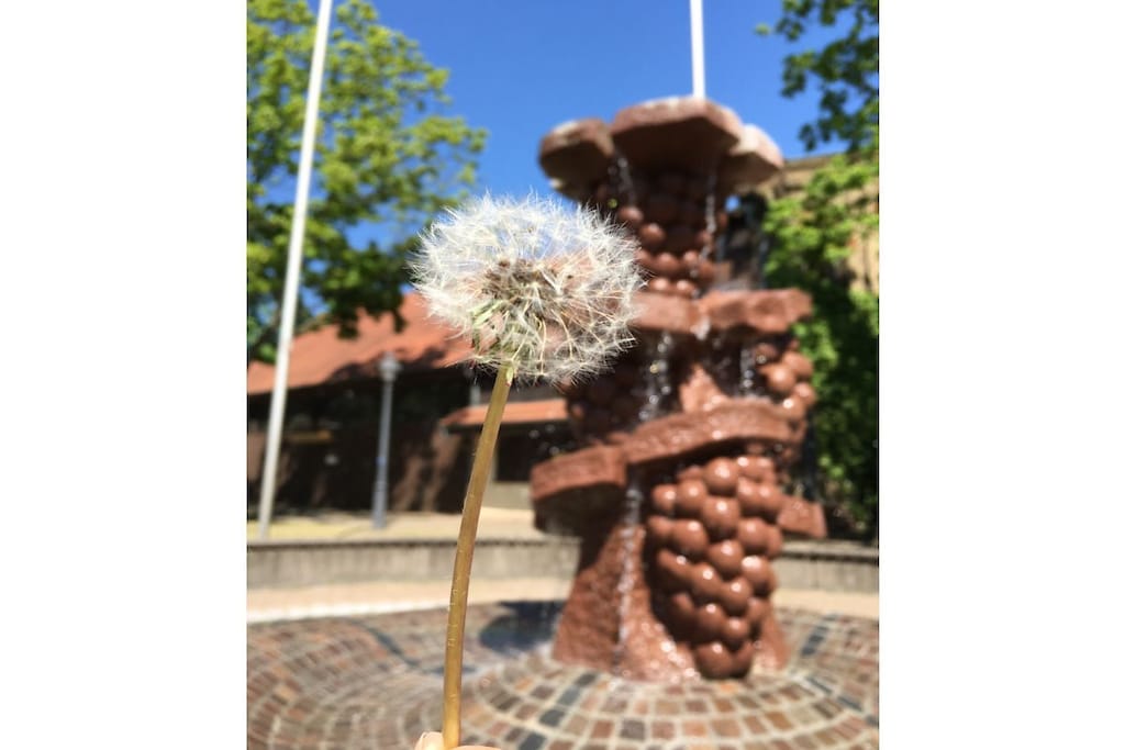139895 - Niet-getagd