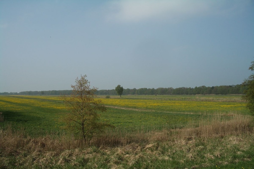 120246 - Niet-getagd