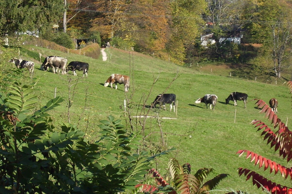 299076 - Niet-getagd