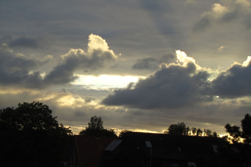224317 - Niet-getagd