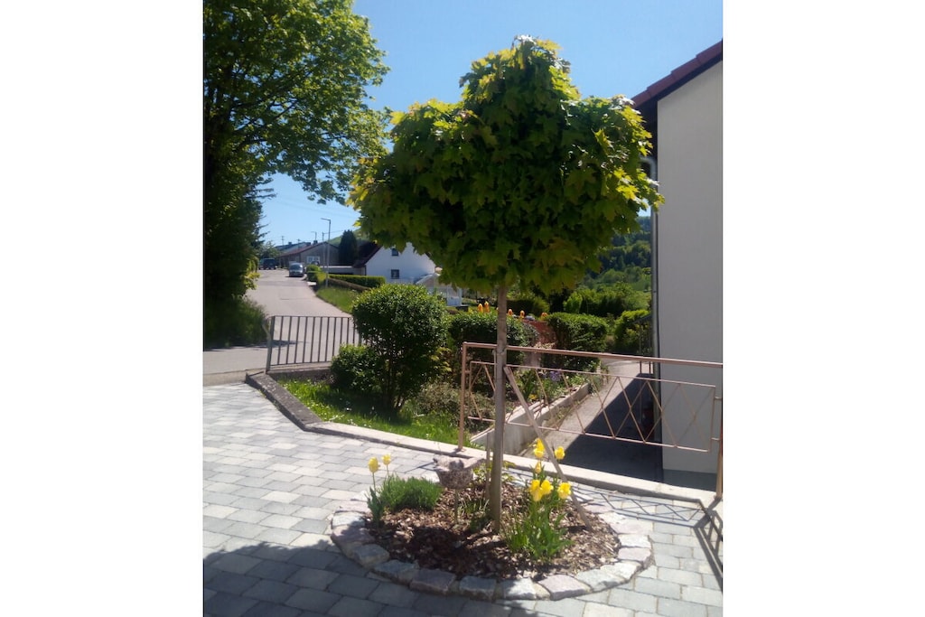 313654 - Niet-getagd