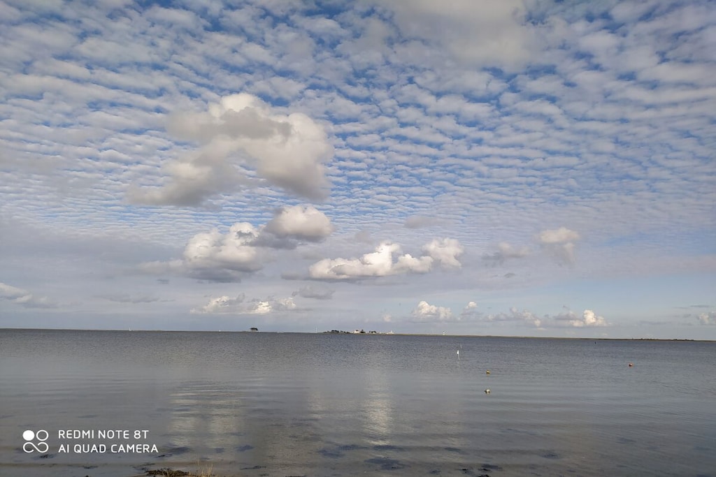 118650 - Niet-getagd