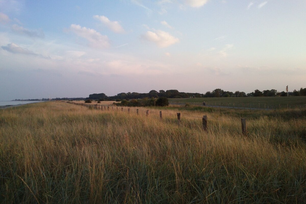 309704 - Niet-getagd