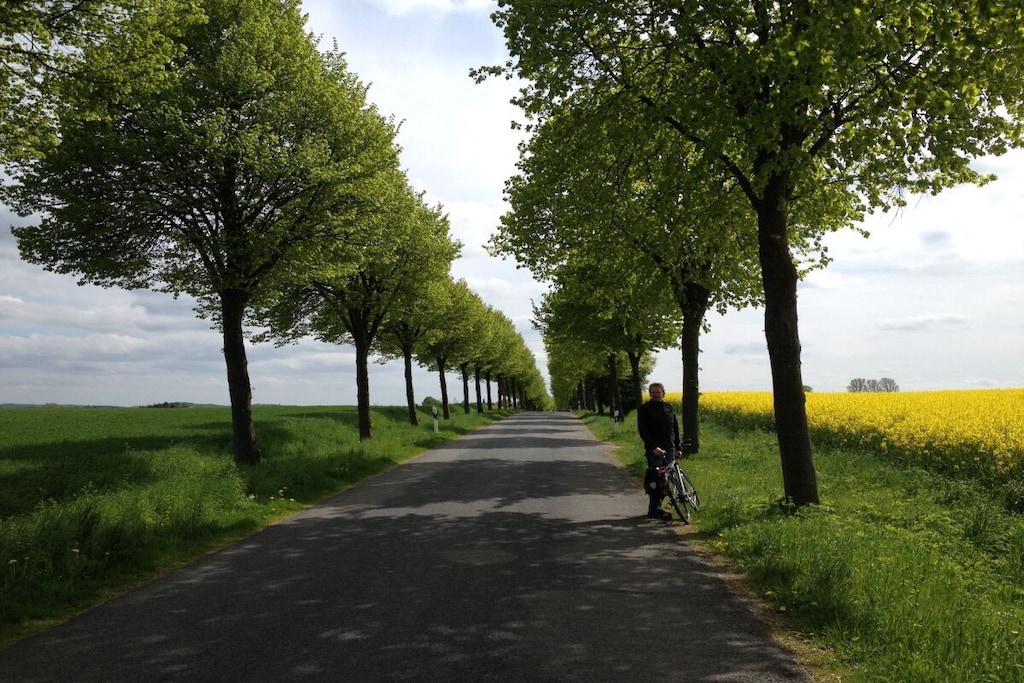115266 - Niet-getagd