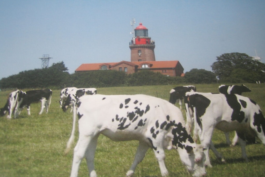313563 - Niet-getagd