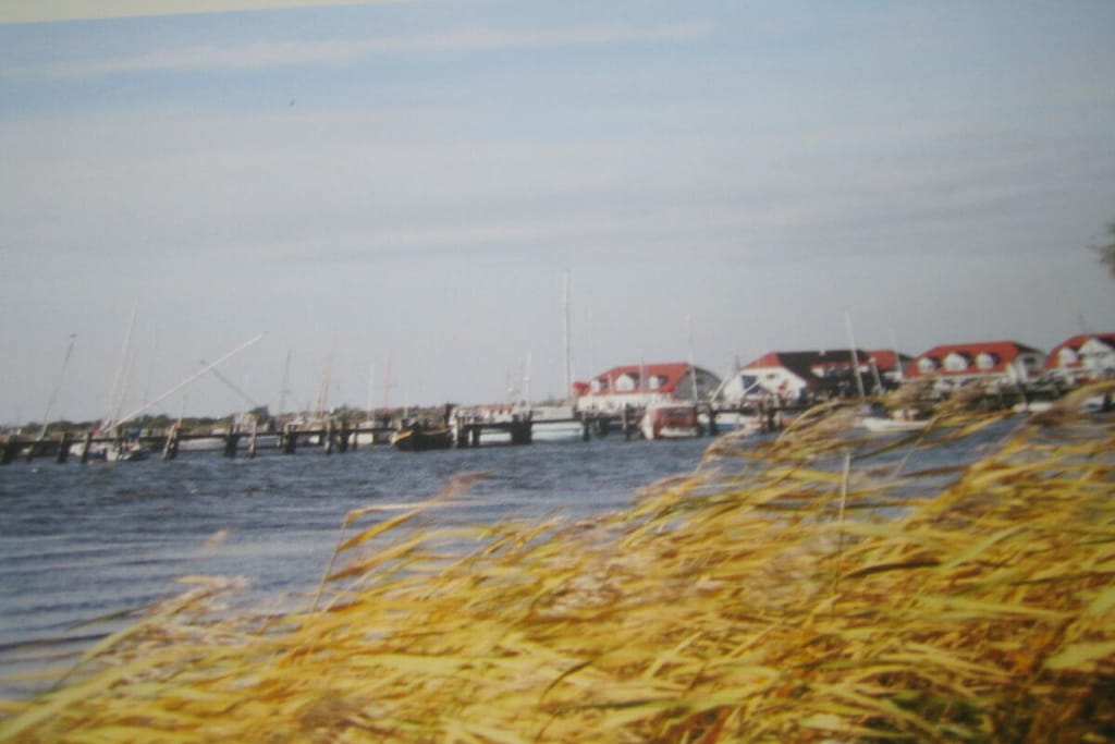 313563 - Niet-getagd