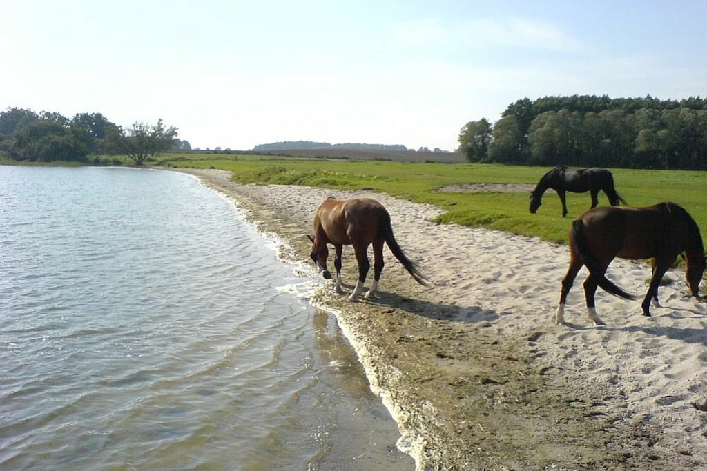 297984 - Niet-getagd