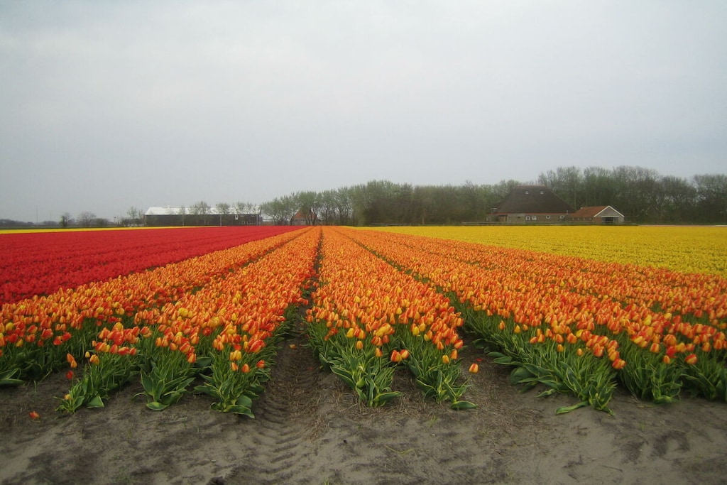514369 - Niet-getagd
