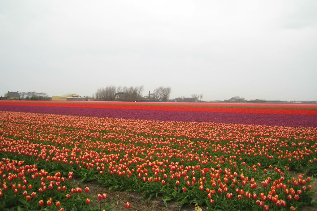 514369 - Niet-getagd