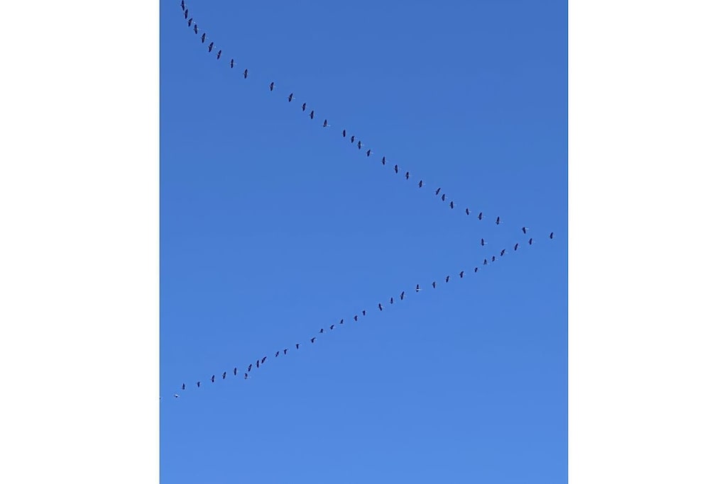 72869 - Niet-getagd