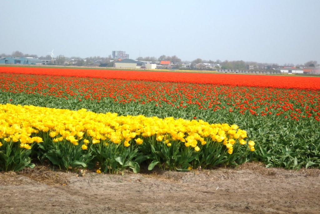 37264 - Niet-getagd