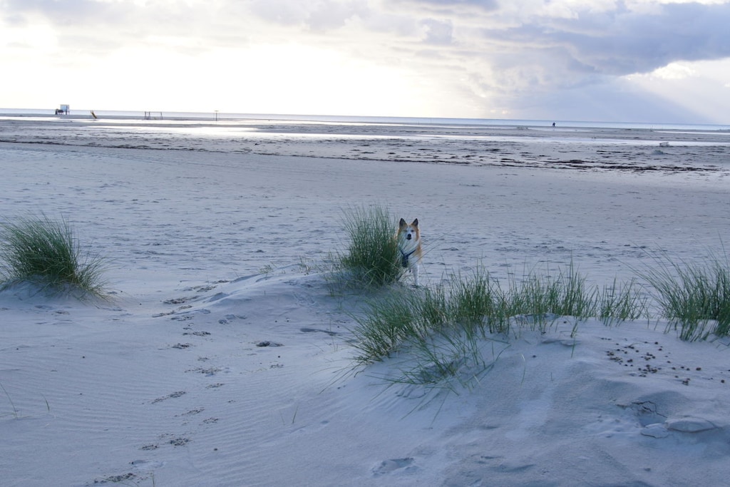 140271 - Niet-getagd