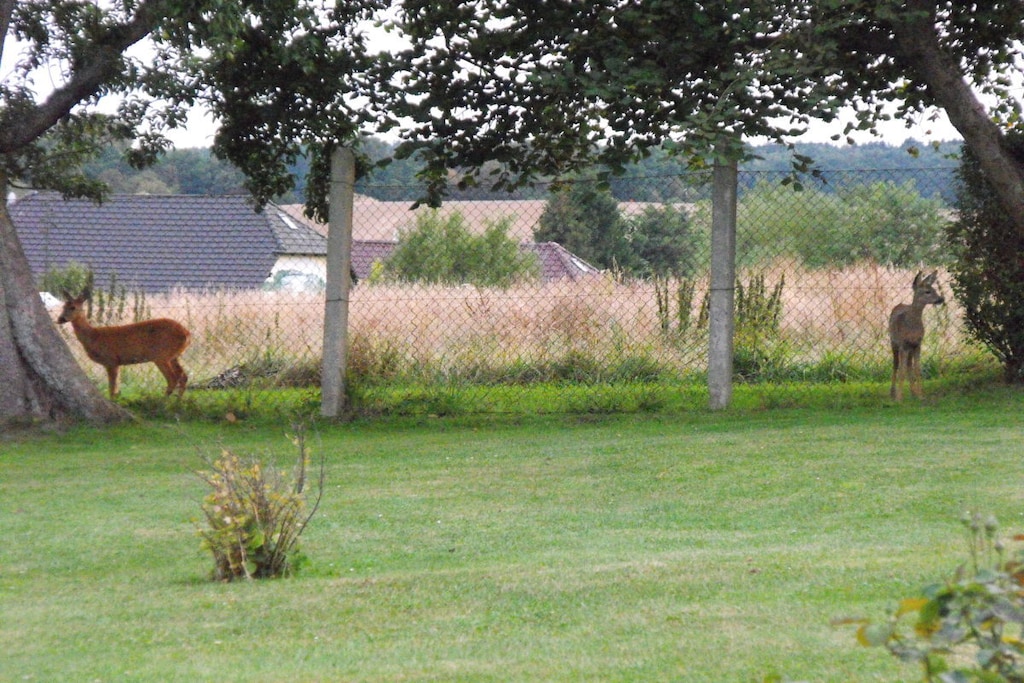 85988 - Niet-getagd