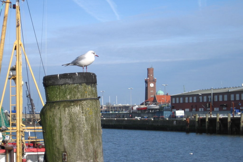 66369 - Niet-getagd