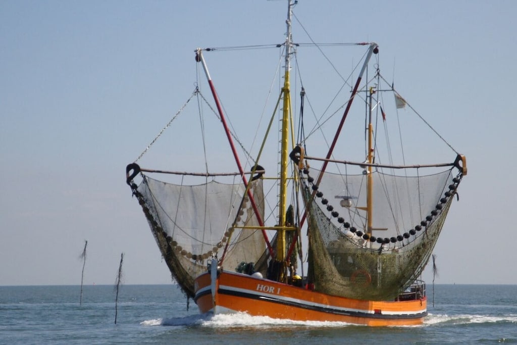 340737 - Niet-getagd