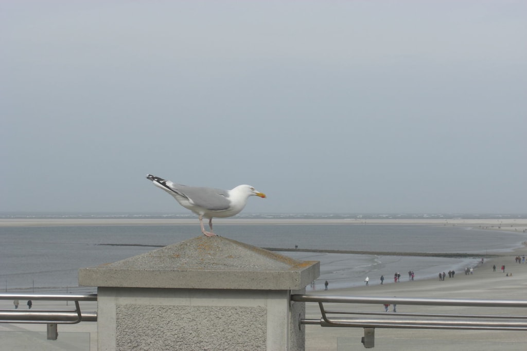 91688 - Niet-getagd