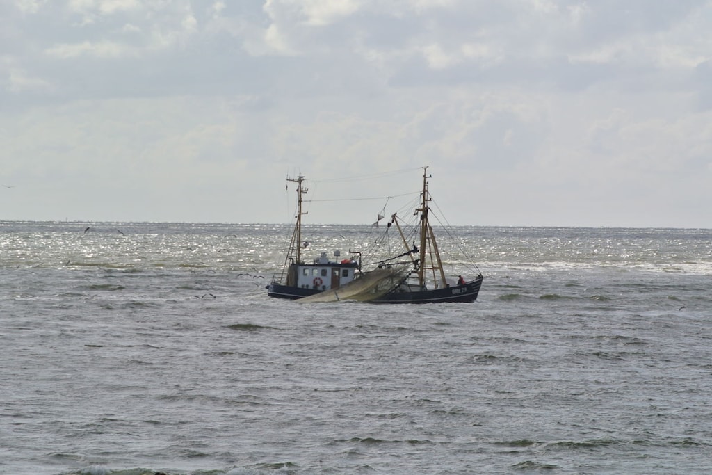 50304 - Niet-getagd