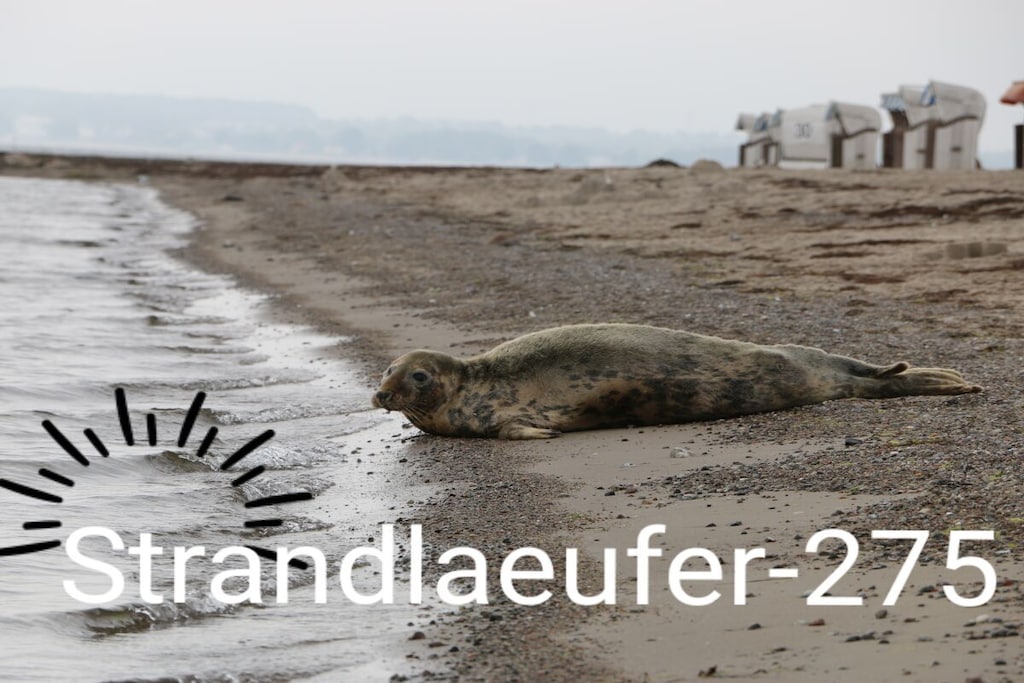 318765 - Niet-getagd
